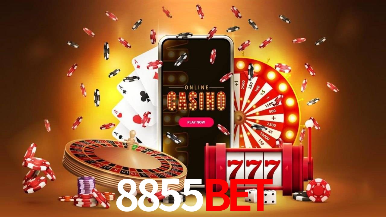Experiência VIP 8855BET